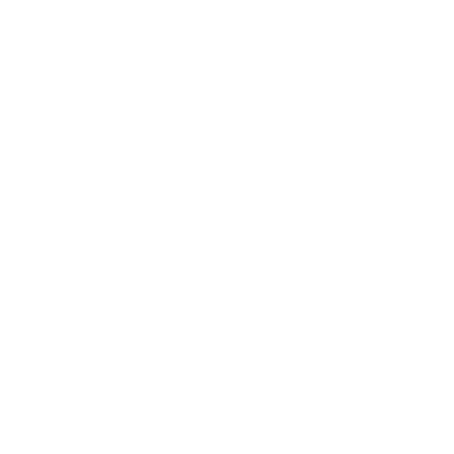 Westinghouse Logo
