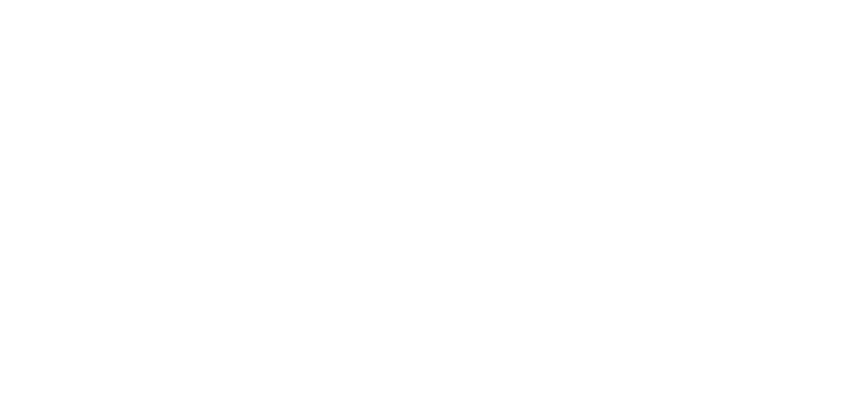 Westinghouse Authorized Dealer